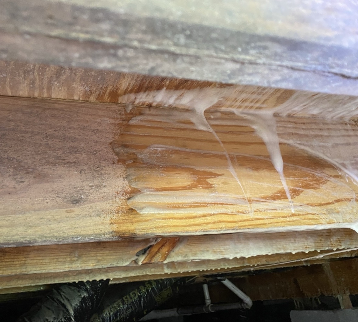 Crawl space floor joist mid-treatment with foaming peroxide-based cleaner, dark fungal staining on the left and brightened clean wood on the right